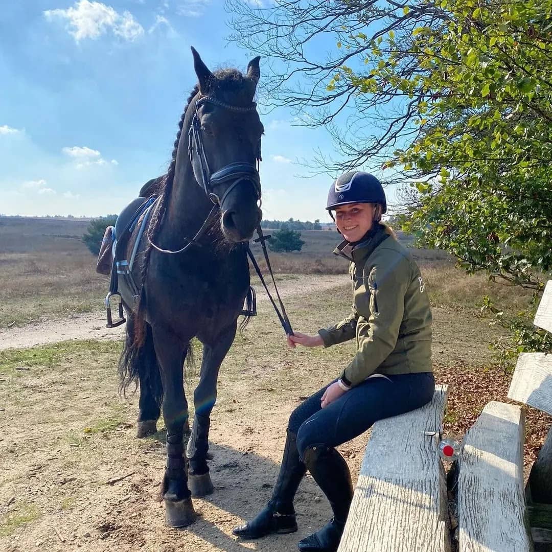 friesian ride invite pic 