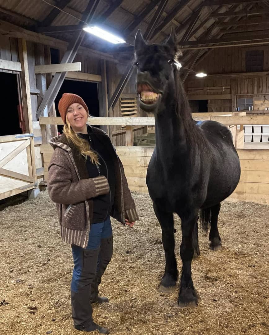 How Much Does a Friesian Horse Cost in 2026? Real Prices