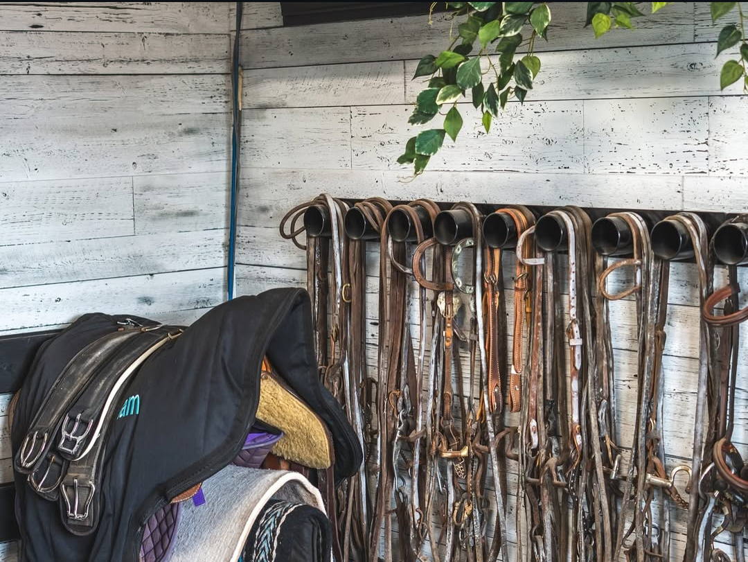 Gallery image 1 - Titan Stables